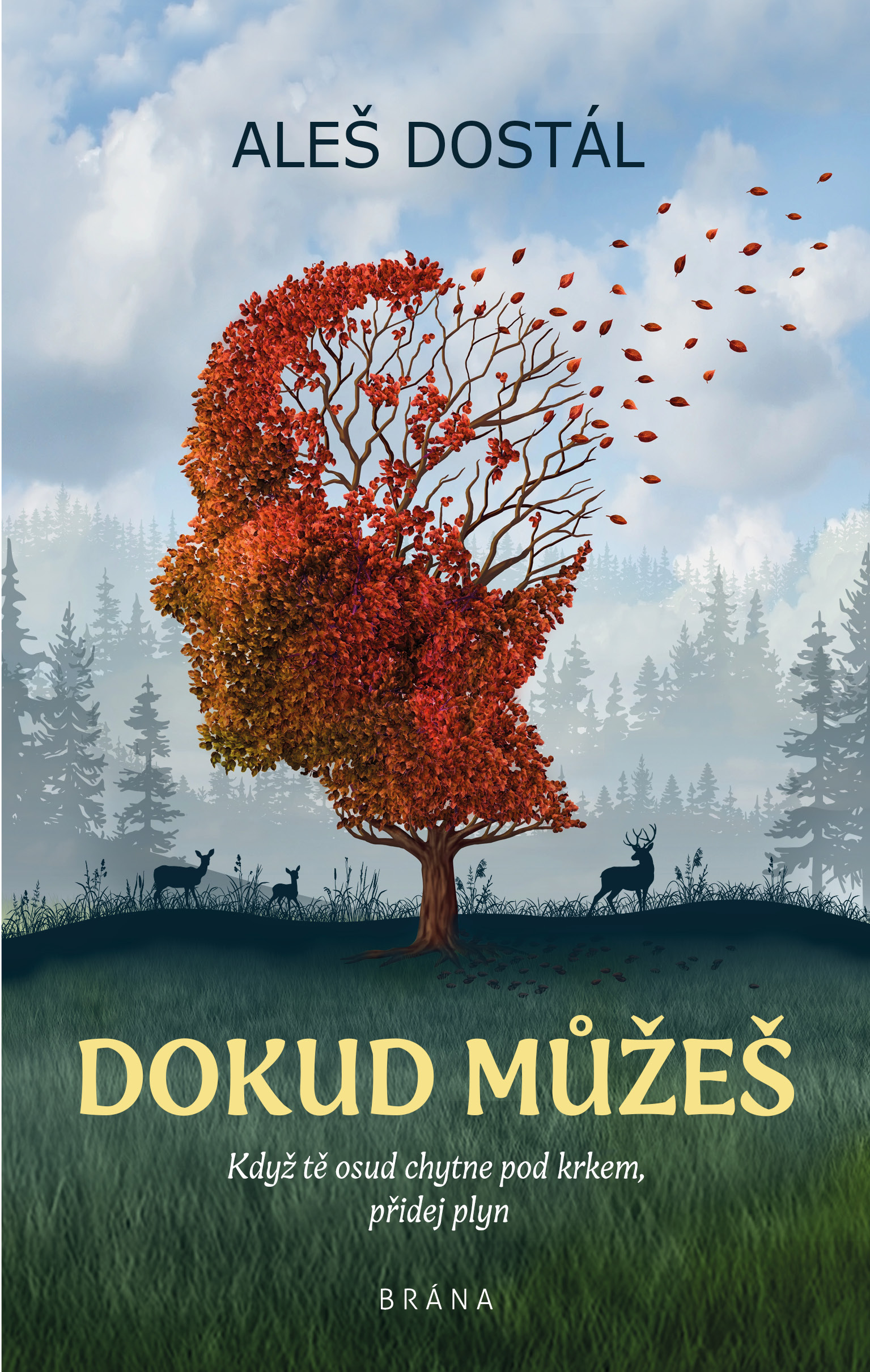 Dokud můžeš