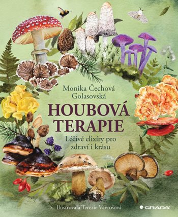 Houbová terapie