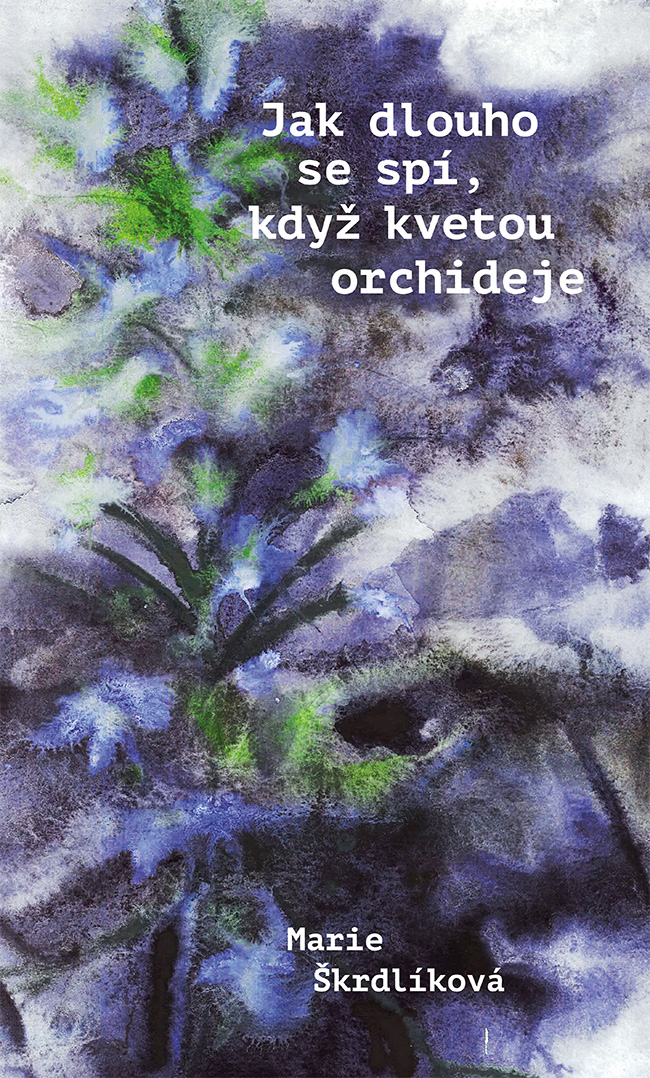 Jak dlouho se spí, když kvetou orchideje