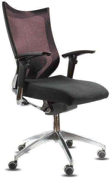 SPINERGO Office vínová