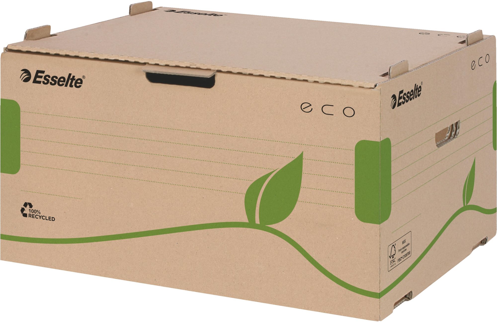 Archivační krabice ESSELTE ECO