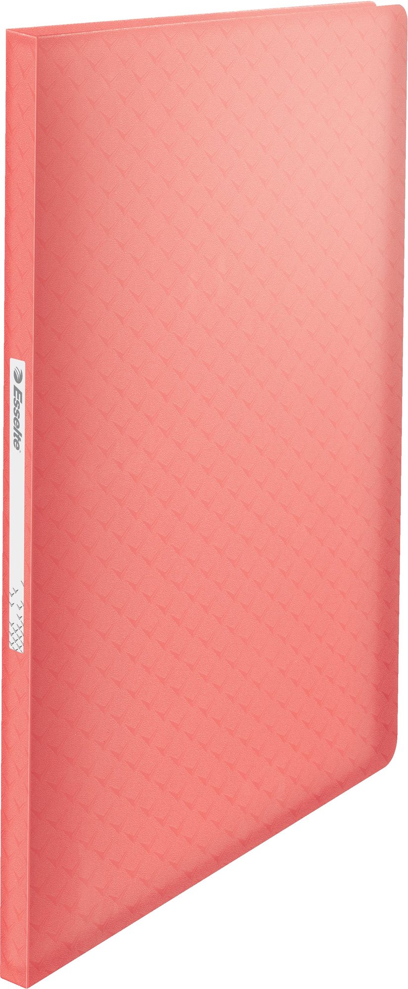 Deska ESSELTE Colour Breeze A4 s 80 kapsemi