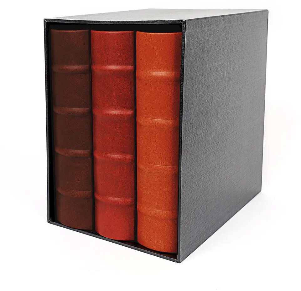 Gedeon KD-46200 set Decor-15N PL