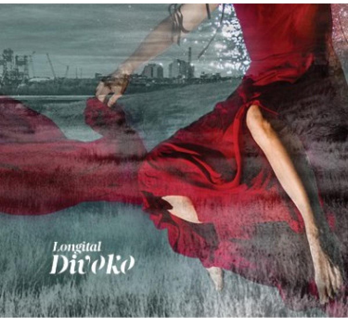 Longital: Divoko - LP