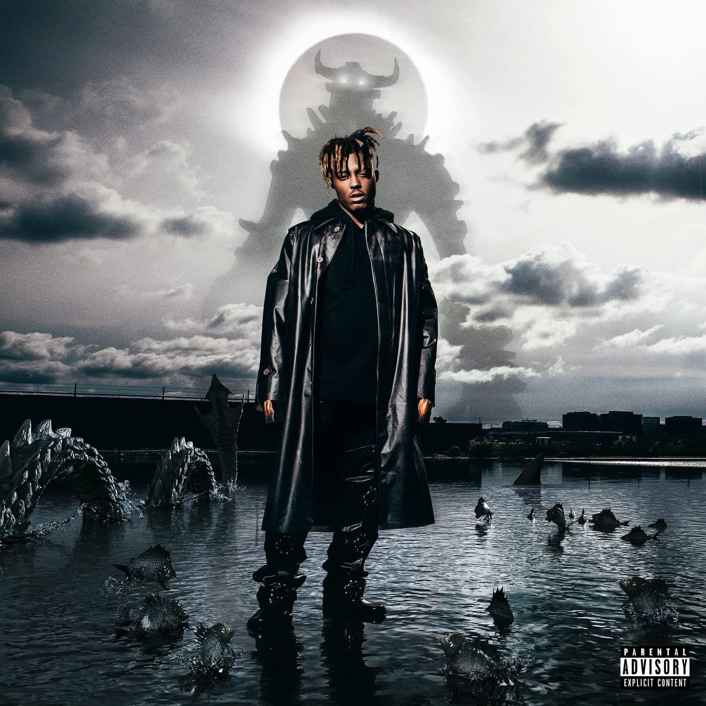 Juice Wrld: Fighting Demons (2x LP) - LP