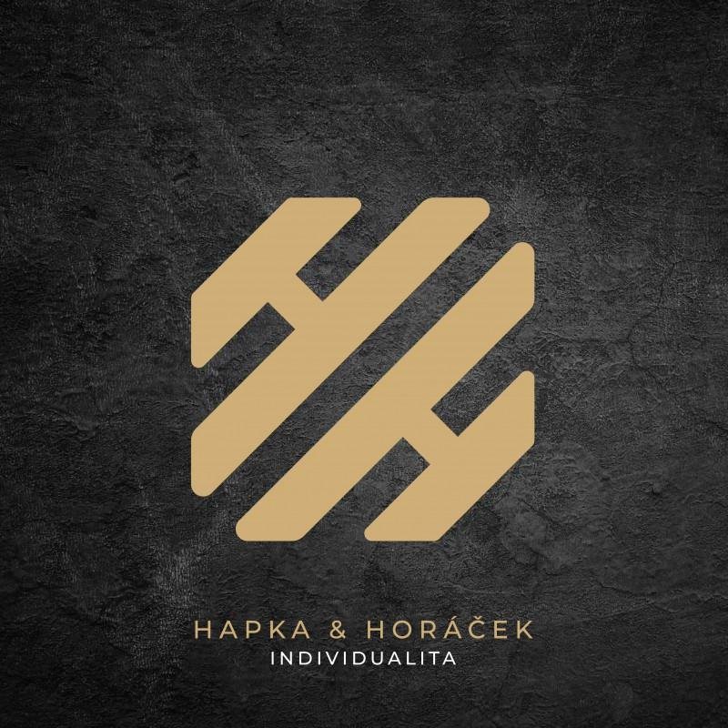 Hapka Petr, Horáček Michal: Individualita (LP Box) (4x LP) - LP