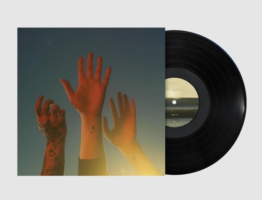 Boygenius: The Record - LP