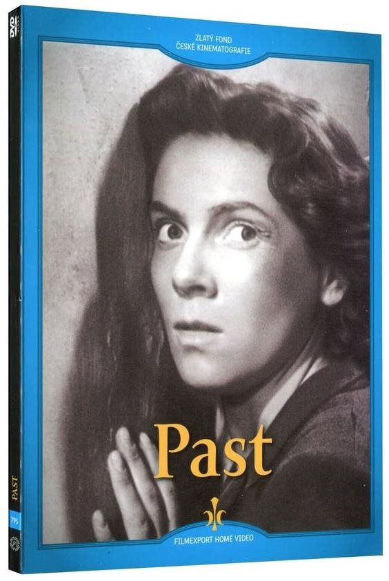 Past - DVD