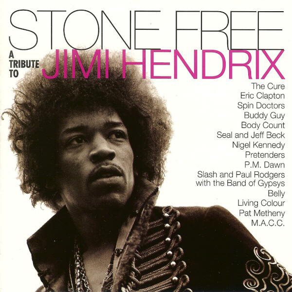 Stone Free: Jimi Hendrix Tribute (2x LP) - LP