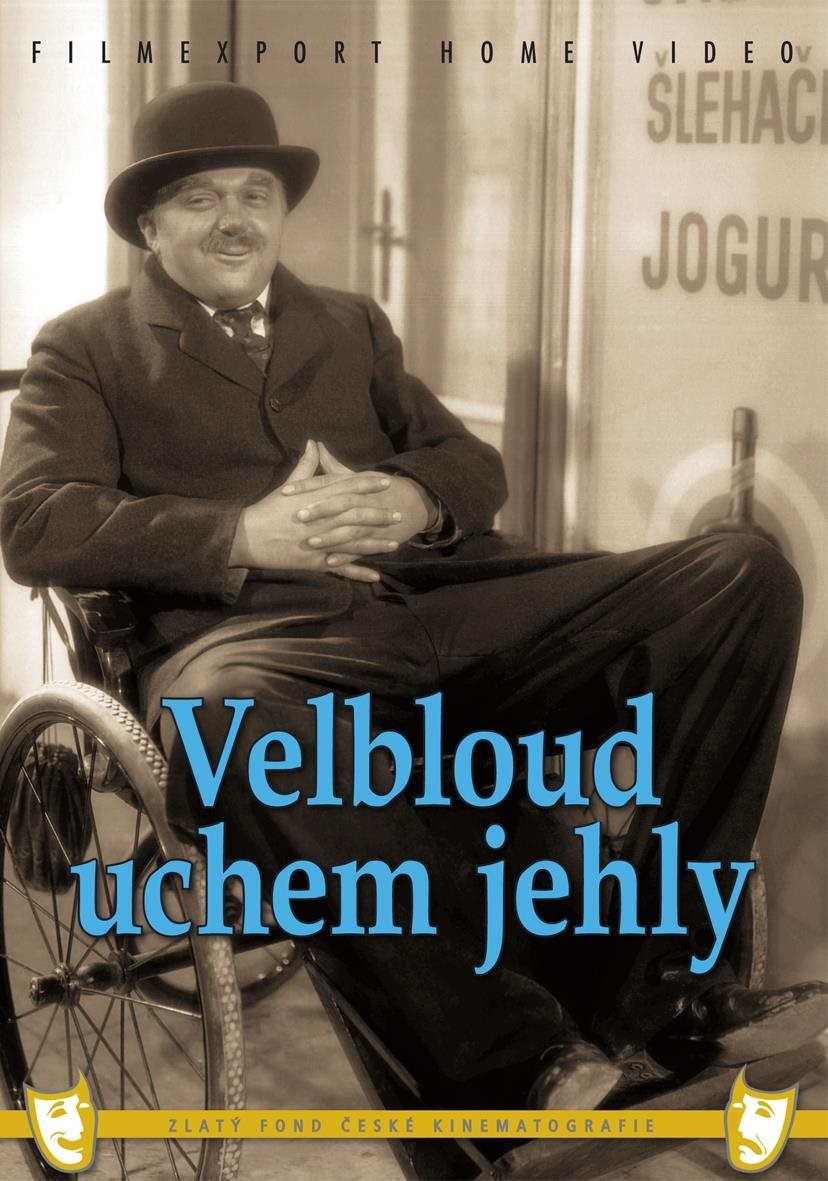 Velbloud uchem jehly - DVD