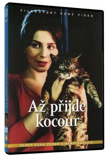 Až přijde kocour - DVD