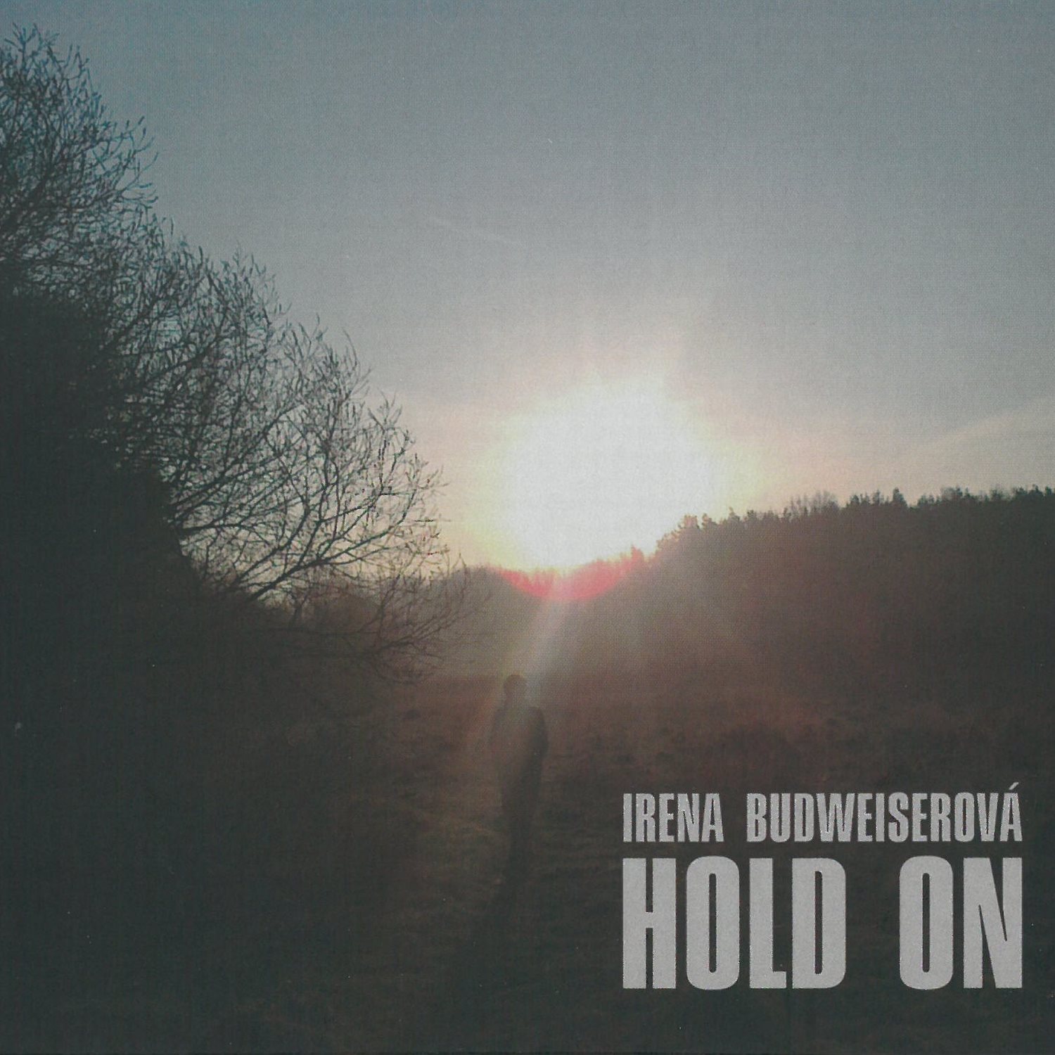 Budweiserová Irena: Hold On - CD