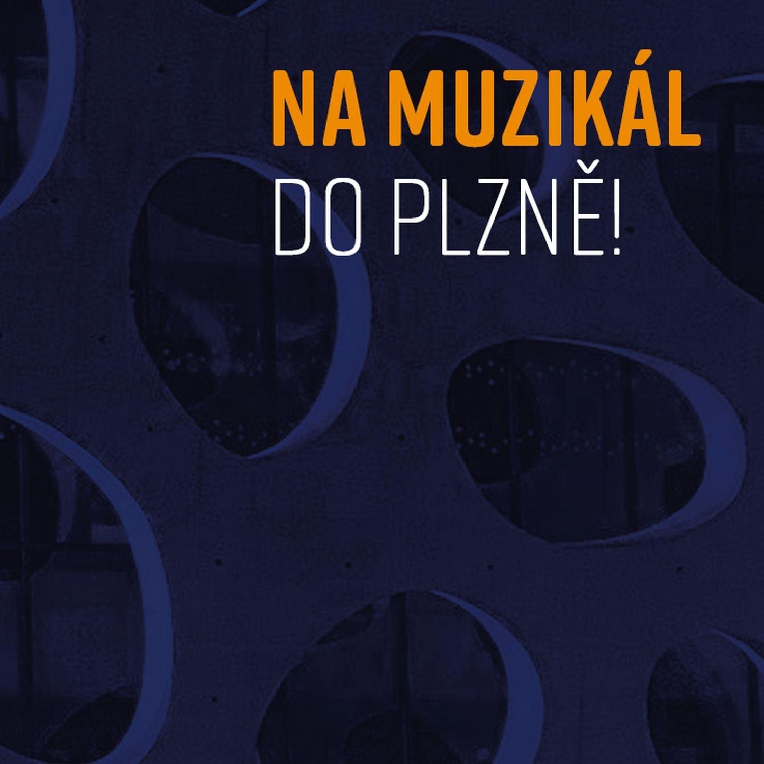 Various: Na muzikál do Plzně! (2x CD) - CD