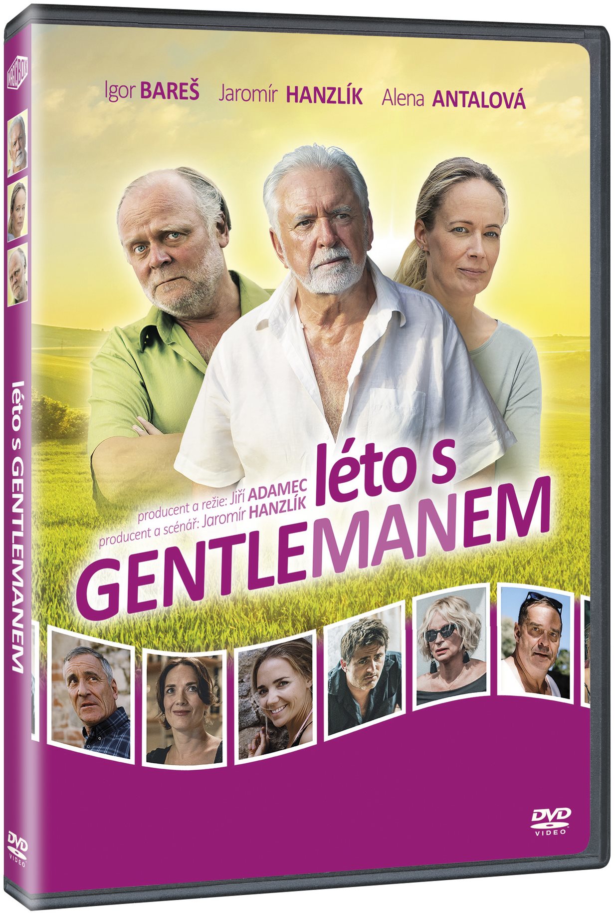 Léto s gentlemanem - DVD
