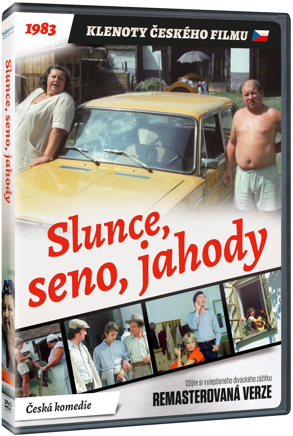 Slunce, seno, jahody  - DVD