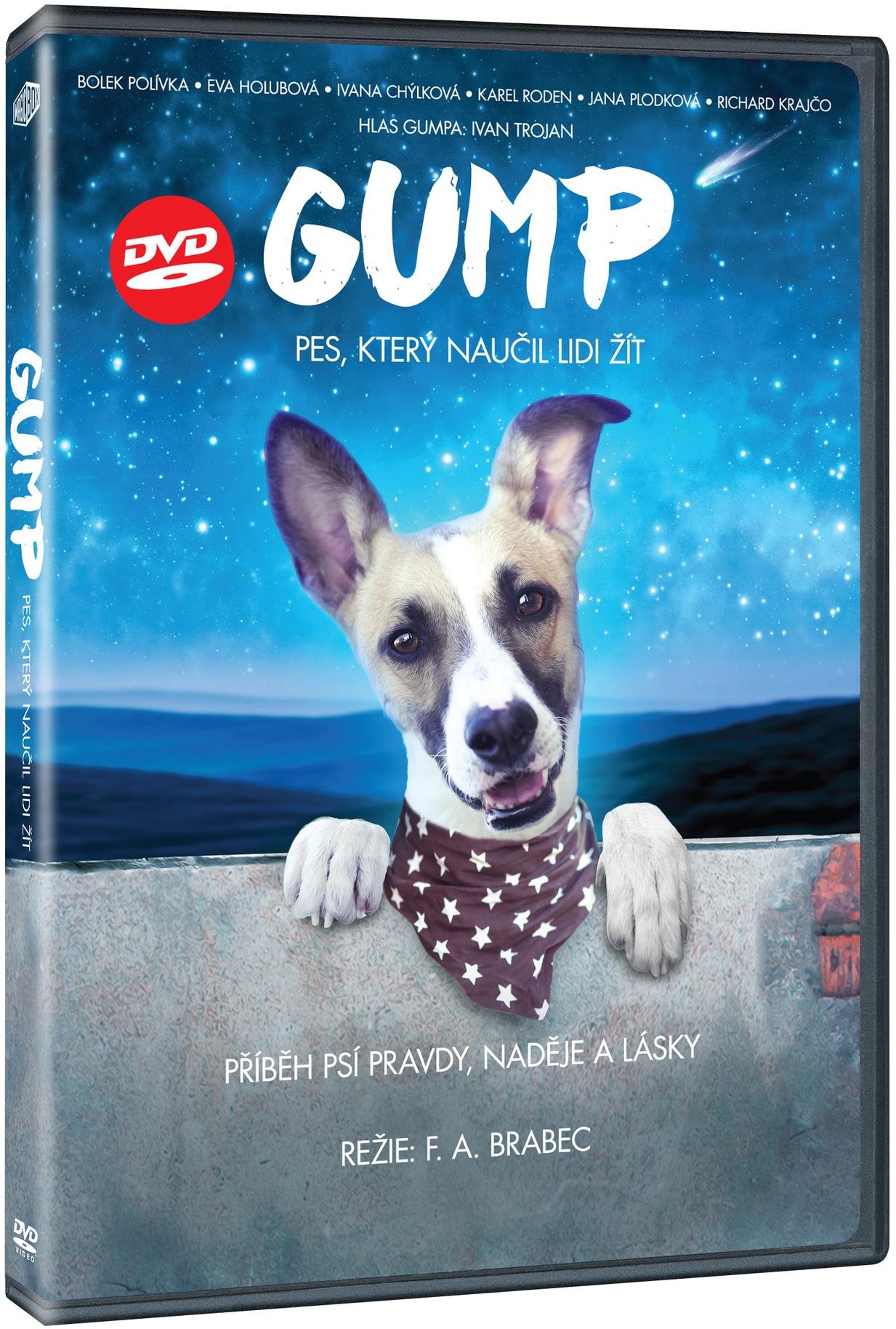 Gump - Pes, který naučil lidi žít - DVD