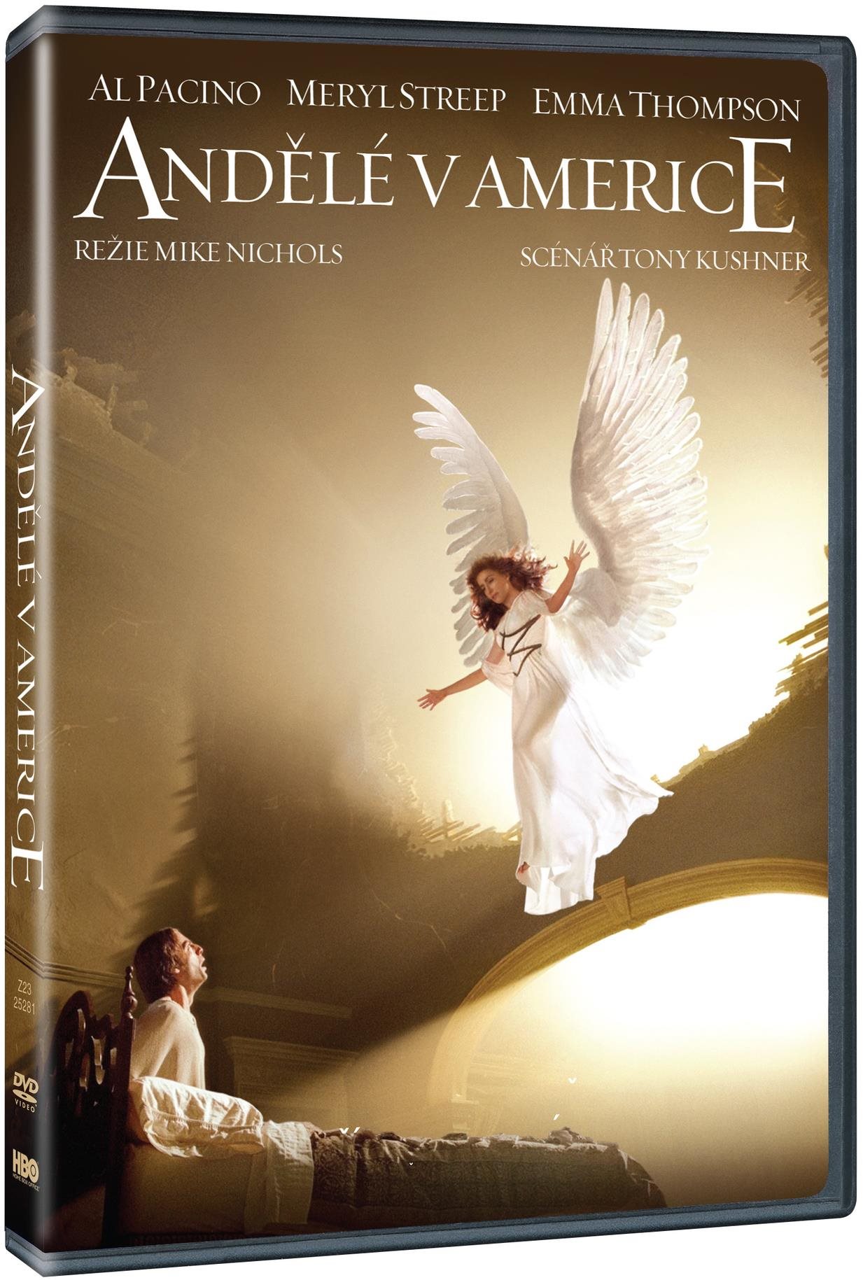 Andělé v Americe  - DVD