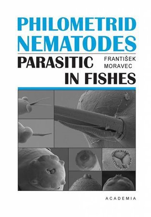 Philometrid nematodes parasitic in fishes