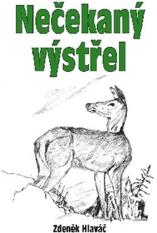 Nečekaný výstřel