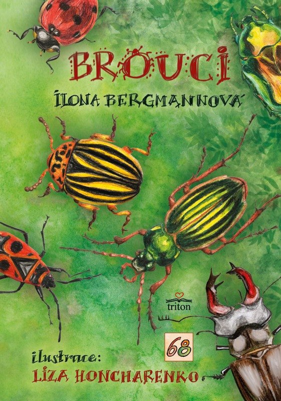 Brouci