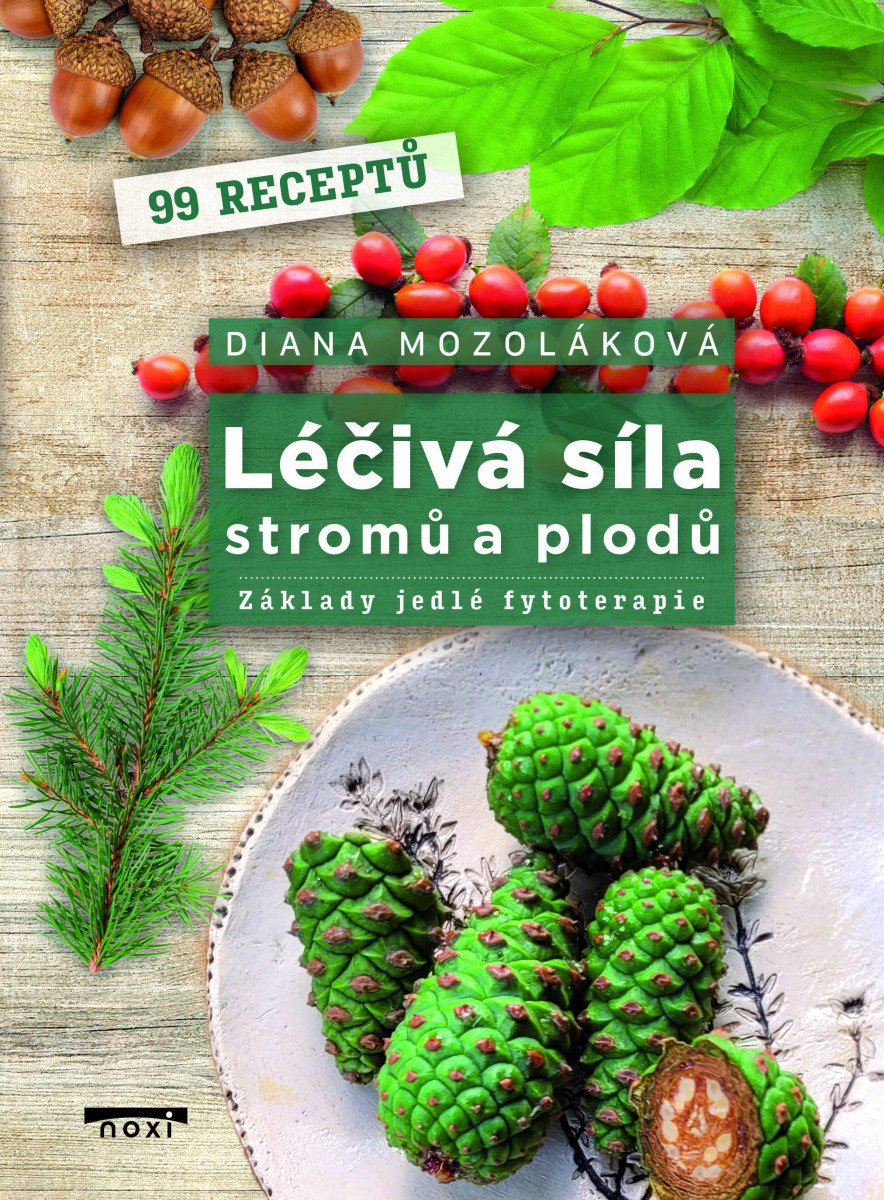 Léčivá síla stromů a plodů - Základy jedlé fytoterapie
