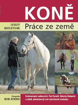 Koně: Práce ze země