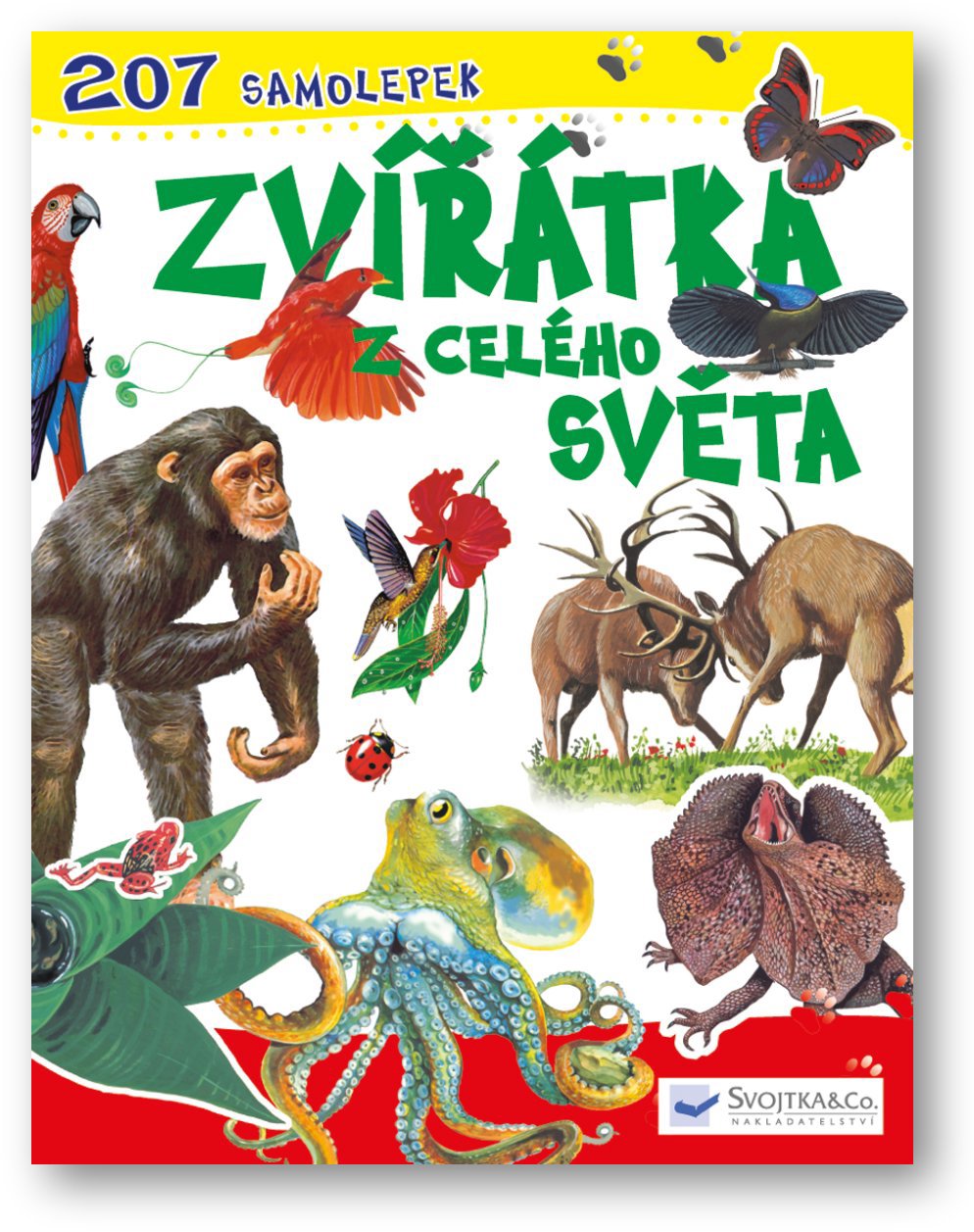 Zvířátka z celého světa