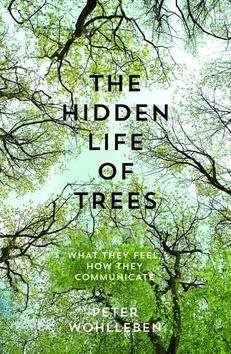 The Hidden Life of Trees: What They Feel, How They Communicate