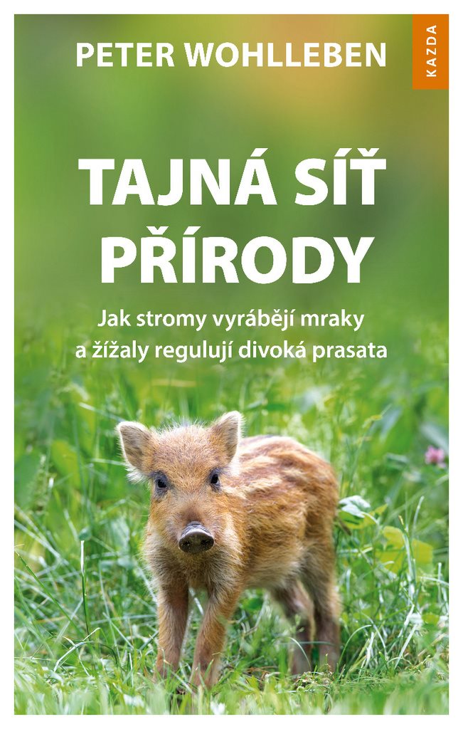 Tajná síť přírody: Jak stromy vyrábějí mraky a žížaly regulují divoká prasata