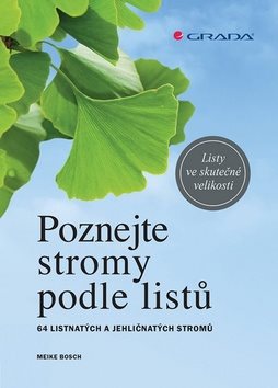 Poznejte stromy podle listů: 64 listnatých a jehličnatých stromů
