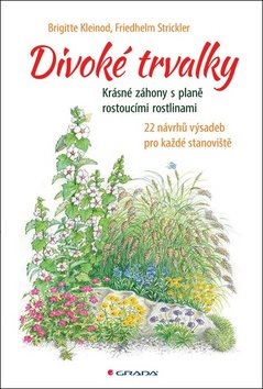 Divoké trvalky: Krásné záhony s planě rostoucími rostlinami