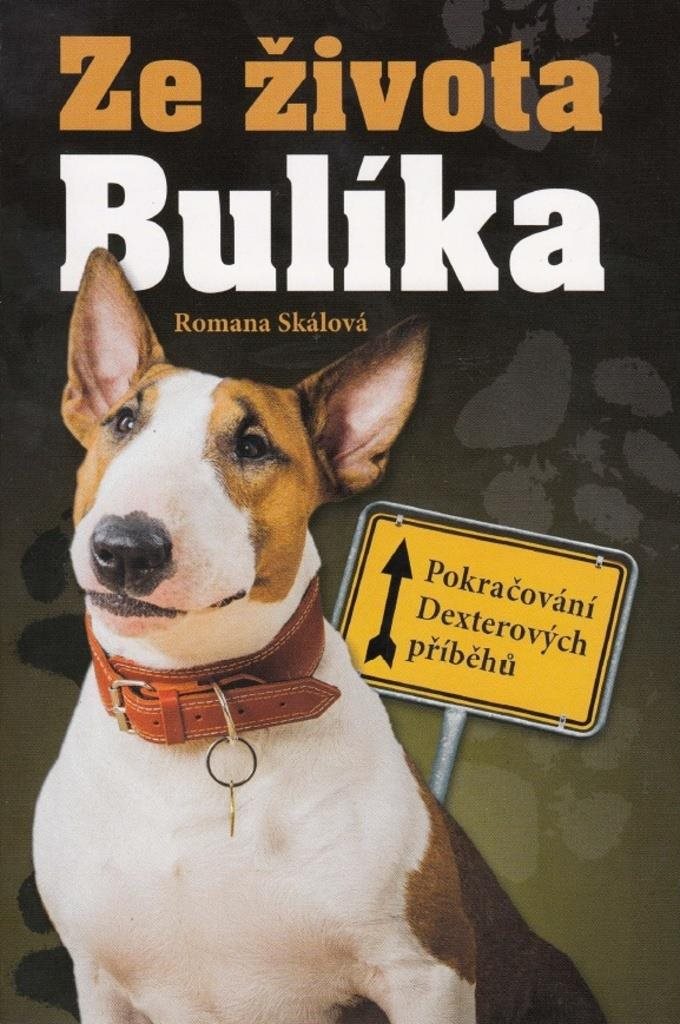 Ze života Bulíka: Pokračování Dexterových příběhů