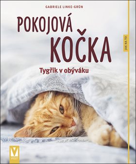 Pokojová kočka: Tygřík v obýváku