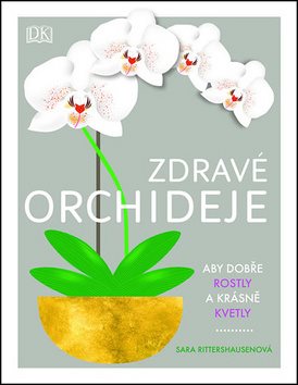 Zdravé orchideje: Aby dobře rostly a krásně kvetly