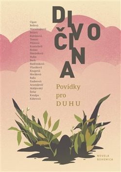 Divočina: Povídky pro DUHU