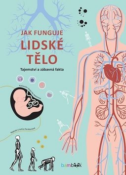 Jak funguje lidské tělo: Tajemství a zábavná fakta