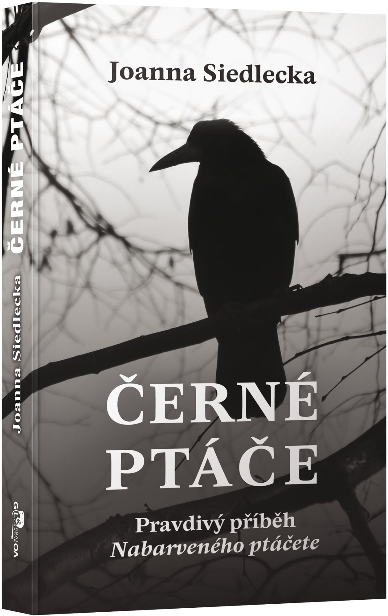 Černé ptáče