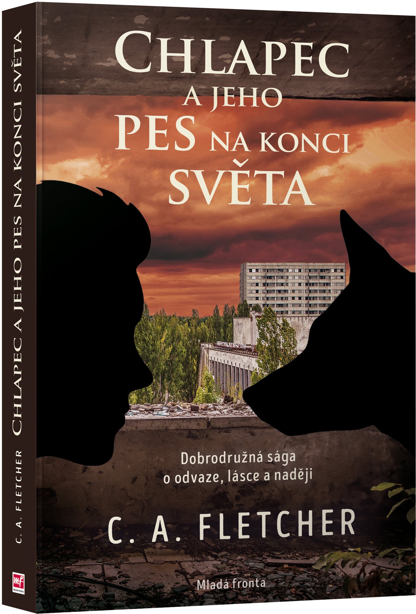 Chlapec a jeho pes na konci světa