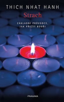 Strach: Základní průvodce, jak přežít bouři