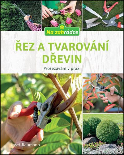 Řez a tvarování dřevin: Prořezávání v praxi