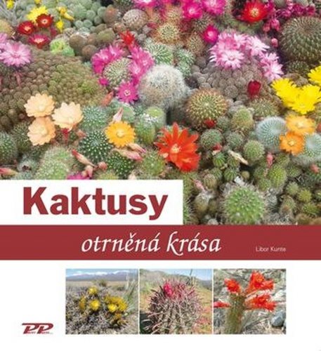 Kaktusy: otrněná krása