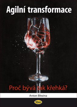 Agilní transformace: Proč bývá tak křehká?