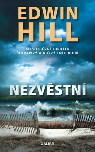 Nezvěstní: Misteriózní thriller překvapivý a ničivý jako bouře