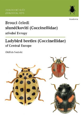 Brouci čeledi slunéčkovití