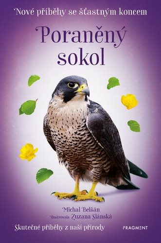 Nové příběhy se šťastným koncem Poraněný sokol: Nové příběhy se šťastným koncem