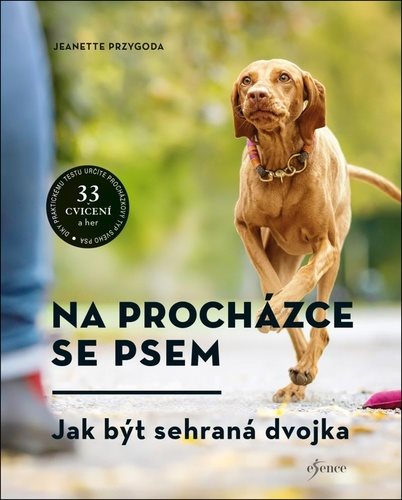Na procházce se psem: Jak být sehraná dvojka