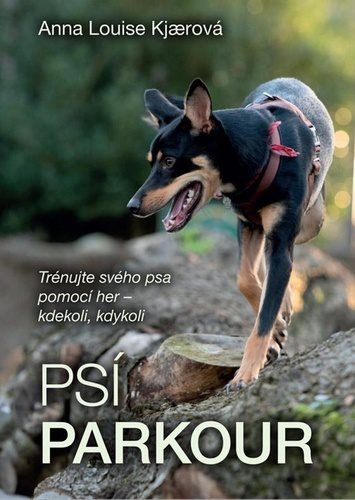 Psí parkour: Trénujte svého psa pomocí her - kdekoli, kdykoli