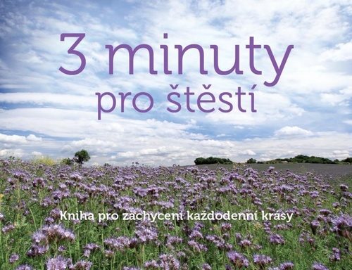 3 minuty pro štěstí: Kniha pro zachycení každodenní krásy