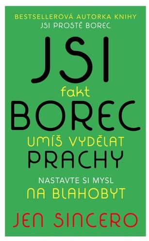 Jsi fakt borec Umíš vydělat prachy: Nastavte si mysl na blahobyt