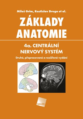 Základy anatomie 4a.: Centrální nervový systém